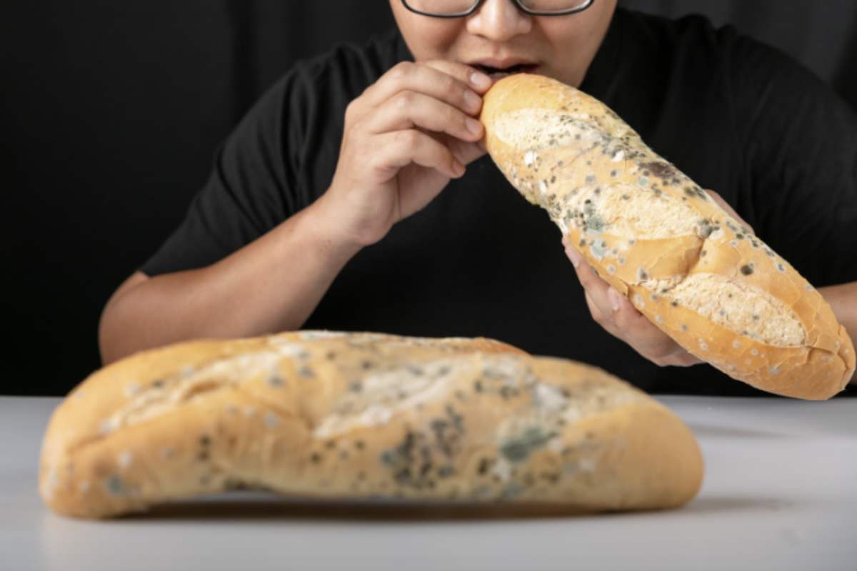 La domanda che molti si pongono è se sia possibile salvare e mangiare la parte sana del pane ammuffito dopo aver rimosso