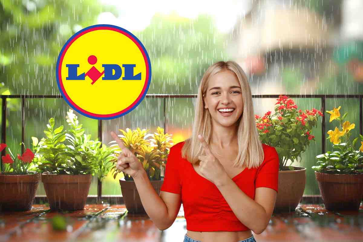 lidl logo donna indica balcone vasi pioggia