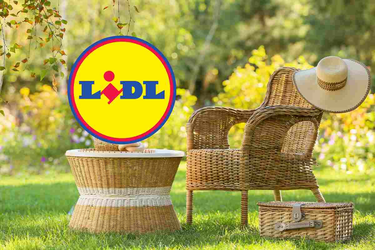 logo lidl giardino poltrona