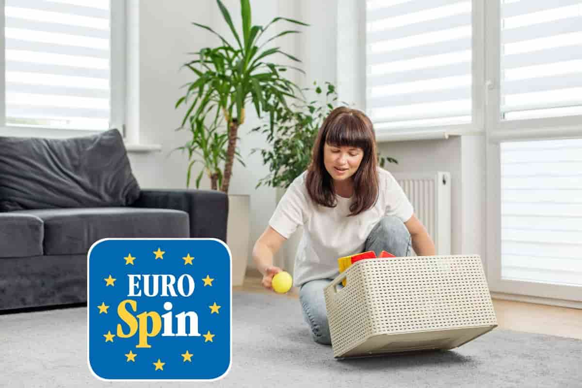 soluzione eurospin per casa ordinata in offerta
